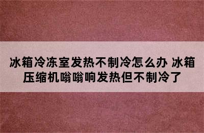 冰箱冷冻室发热不制冷怎么办 冰箱压缩机嗡嗡响发热但不制冷了